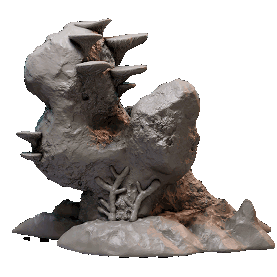 Reef